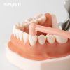 3 Pieces Orthodontic Tuft Toothbrush - Image 2