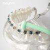 3 Pieces Orthodontic Tuft Toothbrush - Image 3